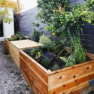 Plant Food + Wine keeps its compost box in the middle of the garden bed on its patio.