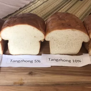 Bread experiment
