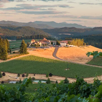 Sunset over King Estate in Oregon.