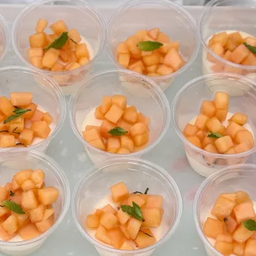single serve melon panna cotta