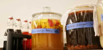 Fermentation jars on a shelf. 