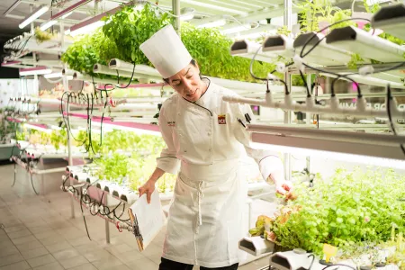 Chef-instructor gathering herbs for plant-based cooking classes in New York.