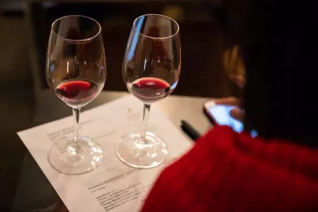 Red wine glasses and notes for sommelier training