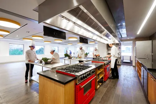 Culinary students cooking in a demo kitchen.