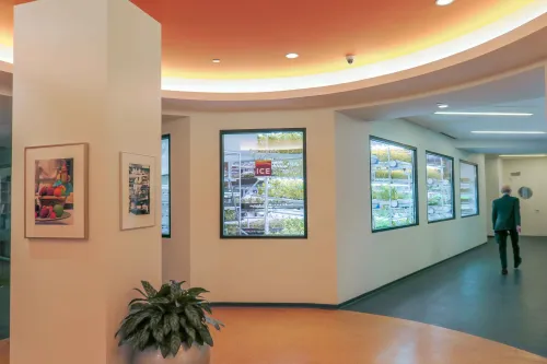 The view of the hallway around the hydroponic garden at the Institute of Culinary Education