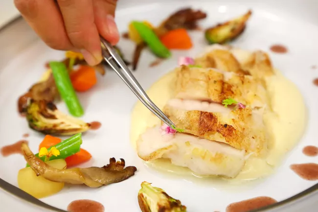 Plated Fish with Vegetables