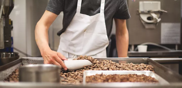 Chef sorting cacao after roasting