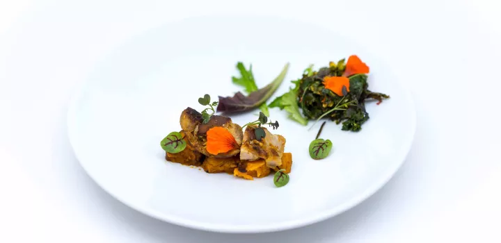hydroponic-grown herbs are used to liven up a charred chicken dish from dig inn