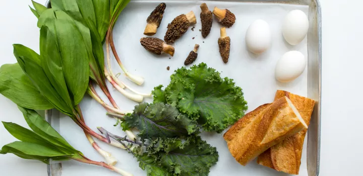 foraged ingredients for sunnyside eggs over sauteed wild greens with morels and ramps