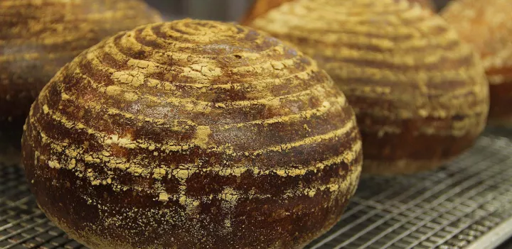 french boule bread freshly baked by chef michael laiskonis