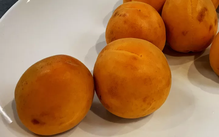 Whole apricots sit on a white plate