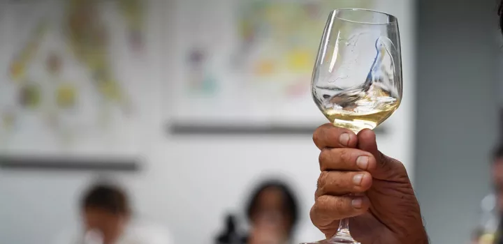 A hand swirls white wine in a glass