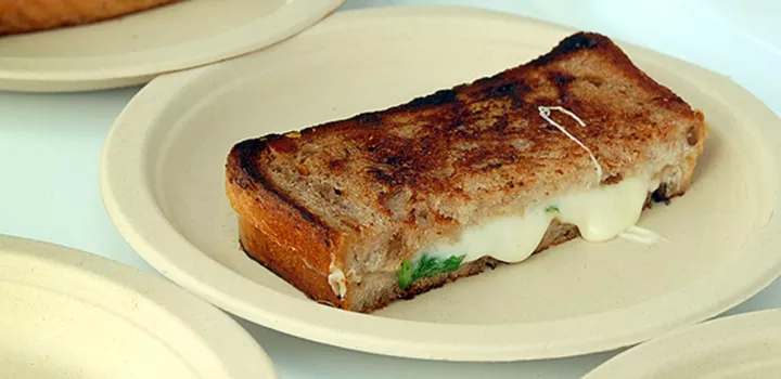 A grilled cheese on a plate.