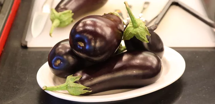 eggplant-manti