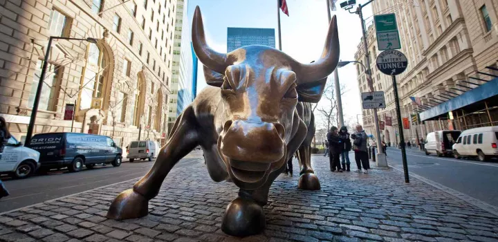 bull in the financial district