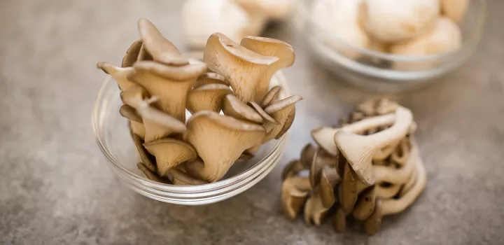 Mushrooms are predicted to be a 2019 food trend.