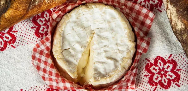 A wheel of raw milk cheese sits on a red and white checkered cloth
