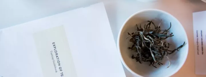 The exploration of tea with rishi tea