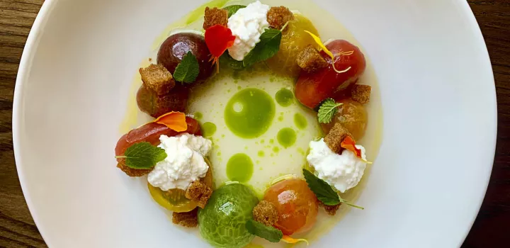 Heritage Tomato, Sungold Tomato Broth, Lemon Balm and Cottage Cheese