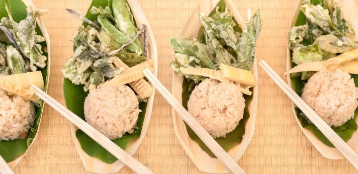 Japanese food with sustainable, biodegradable dishes and chopsticks