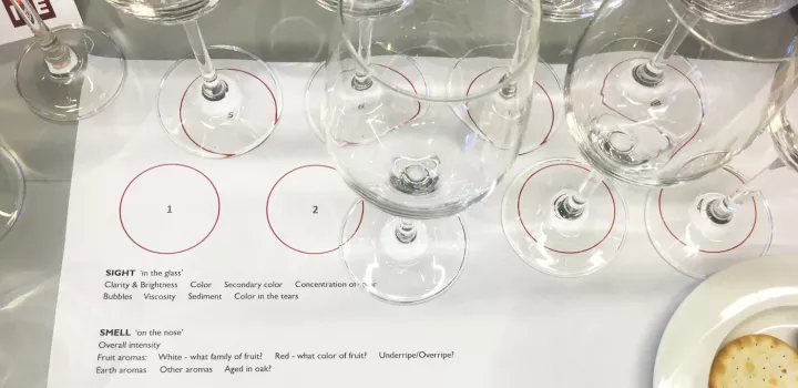 notes for wine tasting with a sommelier