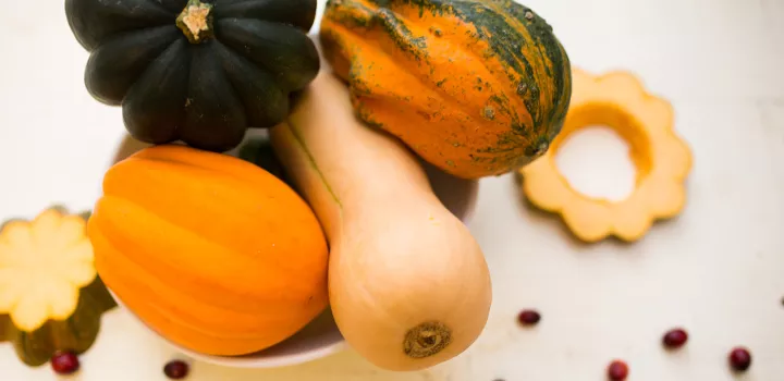 Fall gourds and winter squash