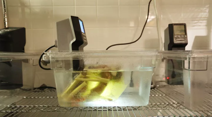 Turkey stock ingredients cook in a sous vide bath in the ICE Culinary Technology Lab